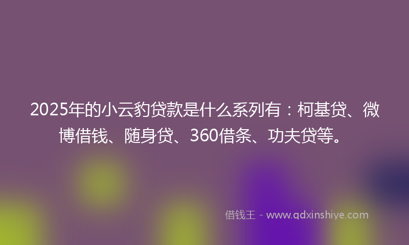 2025年的小云豹贷款是什么系列有：柯基贷、微博借钱、随身贷、360借条、功夫贷等。