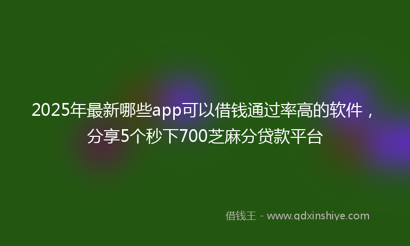 2025年最新哪些app可以借钱通过率高的软件，分享5个秒下700芝麻分贷款平台