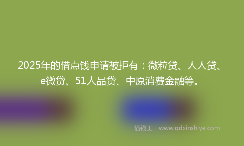 2025年的借点钱申请被拒有：微粒贷、人人贷、e微贷、51人品贷、中原消费金融等。
