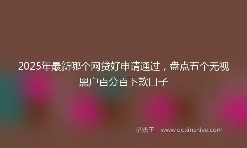 2025年最新哪个网贷好申请通过，盘点五个无视黑户百分百下款口子