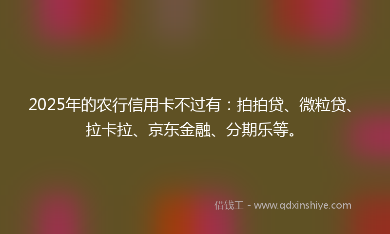 2025年的农行信用卡不过有：拍拍贷、微粒贷、拉卡拉、京东金融、分期乐等。