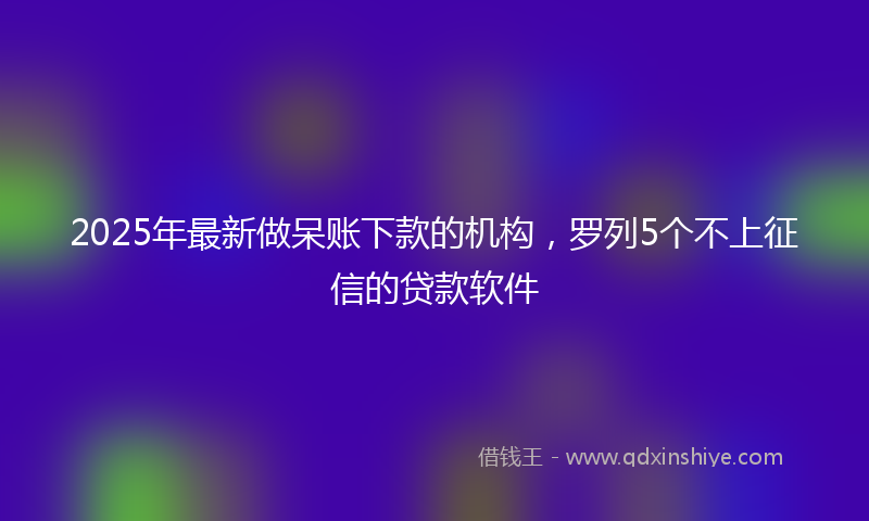 2025年最新做呆账下款的机构，罗列5个不上征信的贷款软件