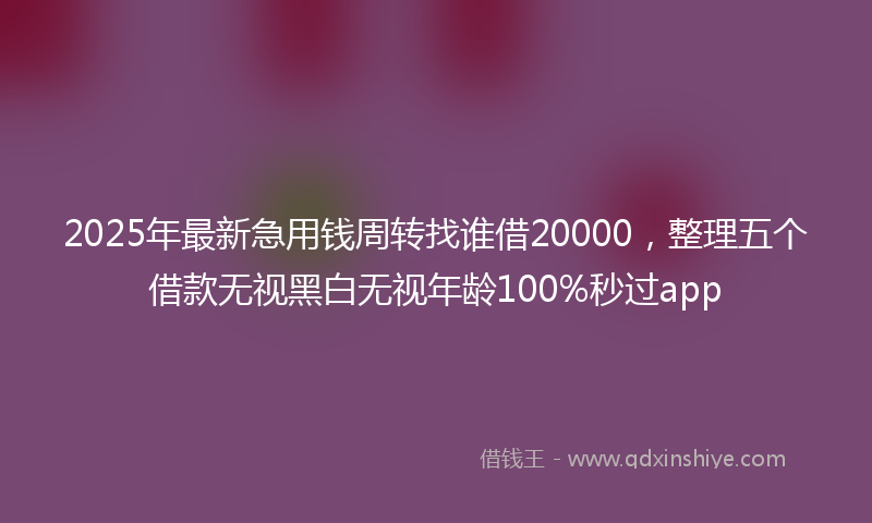 2025年最新急用钱周转找谁借20000，整理五个借款无视黑白无视年龄100%秒过app
