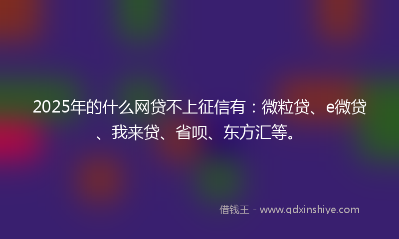 2025年的什么网贷不上征信有：微粒贷、e微贷、我来贷、省呗、东方汇等。