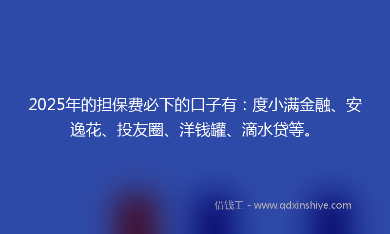 2025年的担保费必下的口子有：度小满金融、安逸花、投友圈、洋钱罐、滴水贷等。