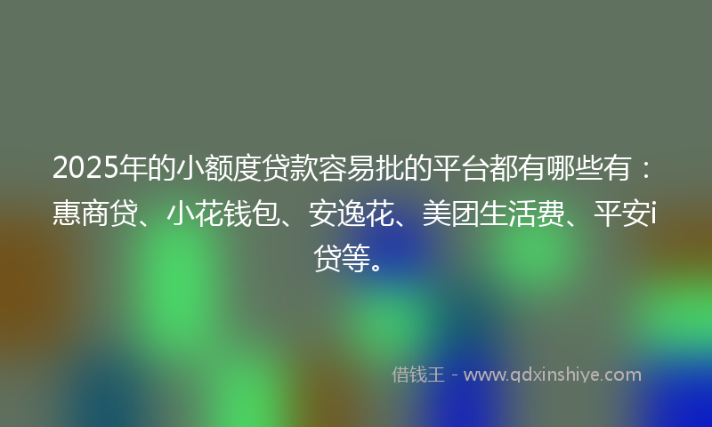 2025年的小额度贷款容易批的平台都有哪些有：惠商贷、小花钱包、安逸花、美团生活费、平安i贷等。