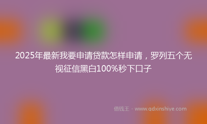 2025年最新我要申请贷款怎样申请，罗列五个无视征信黑白100%秒下口子