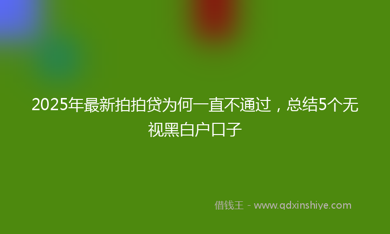 2025年最新拍拍贷为何一直不通过，总结5个无视黑白户口子