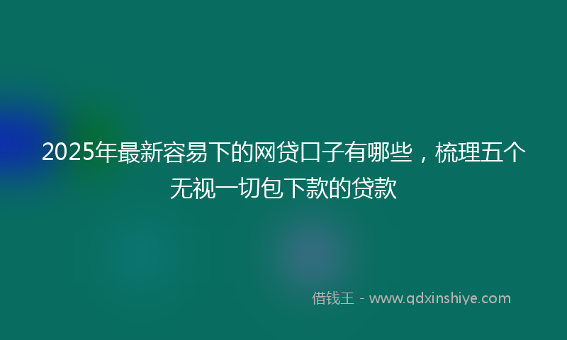 2025年最新容易下的网贷口子有哪些，梳理五个无视一切包下款的贷款