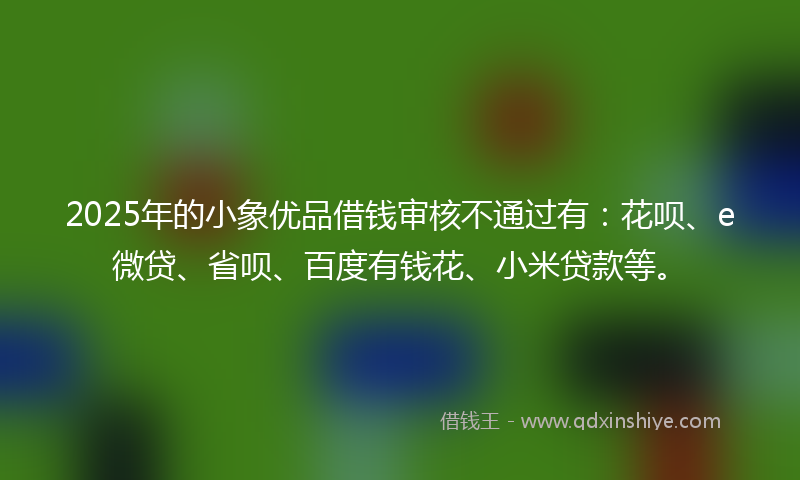 2025年的小象优品借钱审核不通过有：花呗、e微贷、省呗、百度有钱花、小米贷款等。