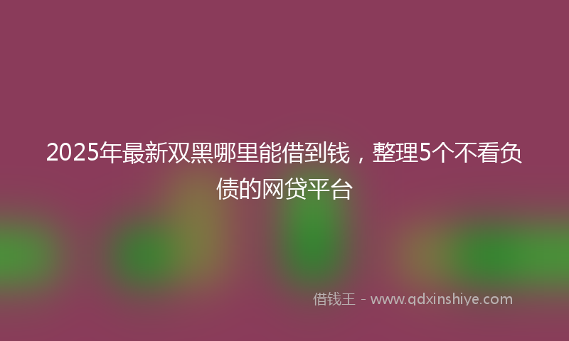 2025年最新双黑哪里能借到钱，整理5个不看负债的网贷平台
