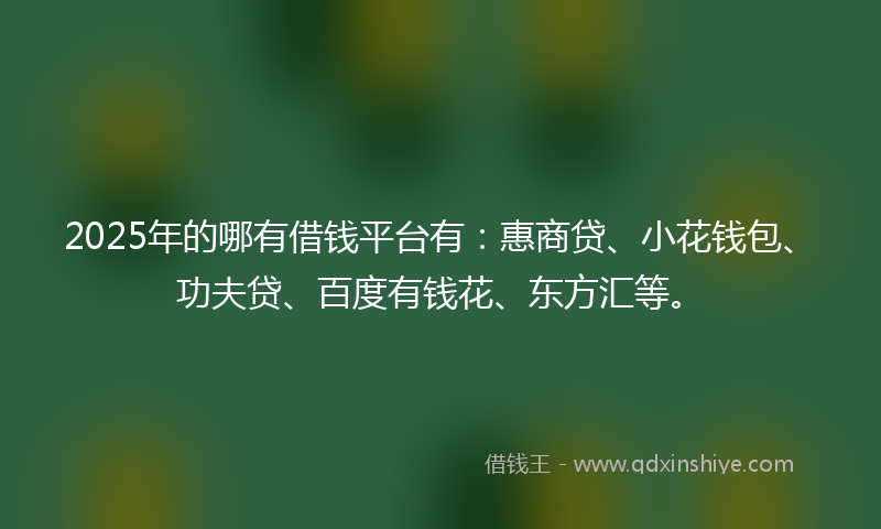 2025年的哪有借钱平台有：惠商贷、小花钱包、功夫贷、百度有钱花、东方汇等。