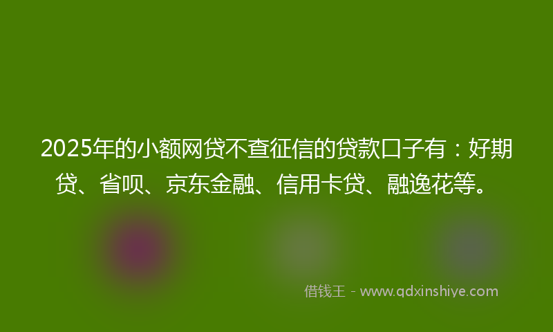2025年的小额网贷不查征信的贷款口子有：好期贷、省呗、京东金融、信用卡贷、融逸花等。