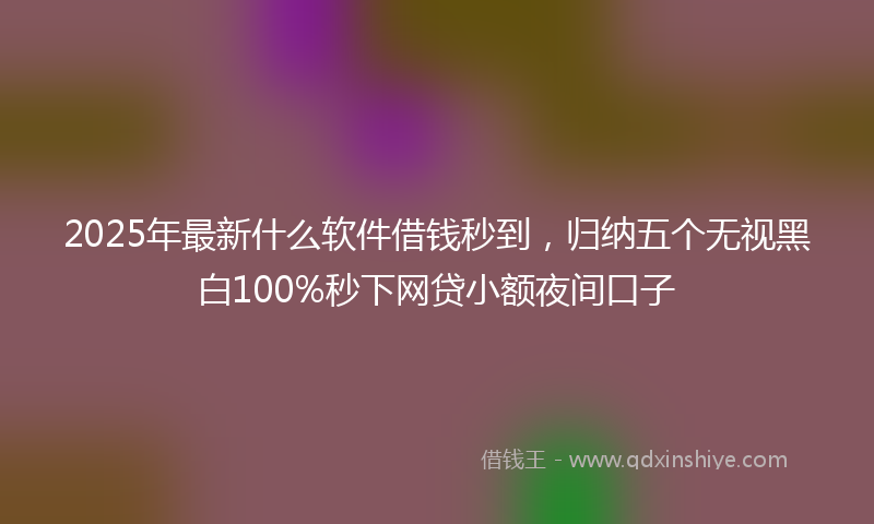 2025年最新什么软件借钱秒到，归纳五个无视黑白100%秒下网贷小额夜间口子