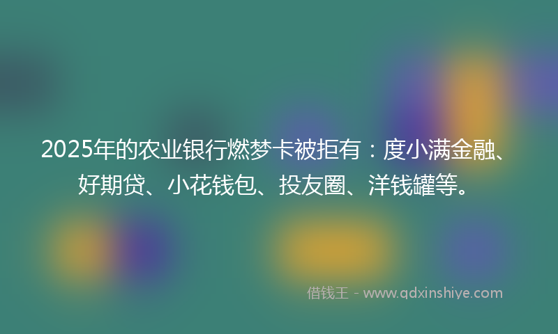 2025年的农业银行燃梦卡被拒有：度小满金融、好期贷、小花钱包、投友圈、洋钱罐等。