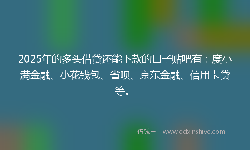 2025年的多头借贷还能下款的口子贴吧有：度小满金融、小花钱包、省呗、京东金融、信用卡贷等。