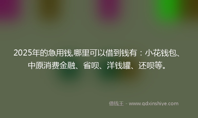 2025年的急用钱,哪里可以借到钱有：小花钱包、中原消费金融、省呗、洋钱罐、还呗等。