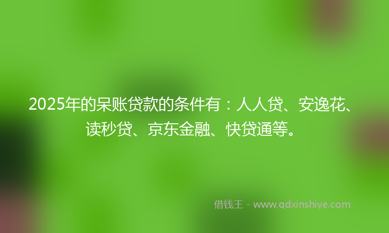 2025年的呆账贷款的条件有：人人贷、安逸花、读秒贷、京东金融、快贷通等。