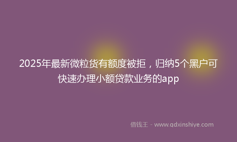 2025年最新微粒货有额度被拒，归纳5个黑户可快速办理小额贷款业务的app