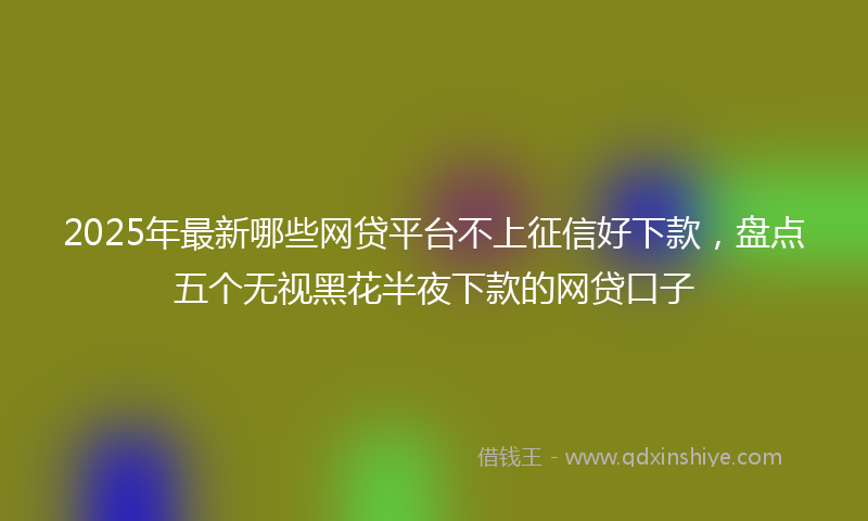 2025年最新哪些网贷平台不上征信好下款，盘点五个无视黑花半夜下款的网贷口子