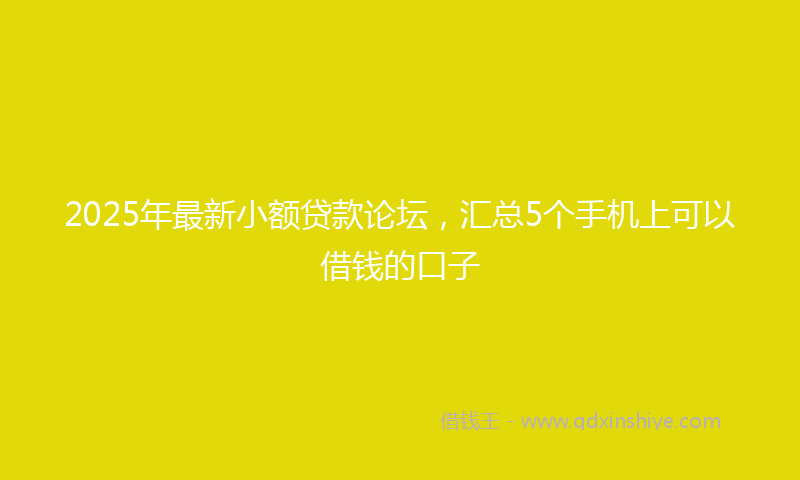 2025年最新小额贷款论坛，汇总5个手机上可以借钱的口子