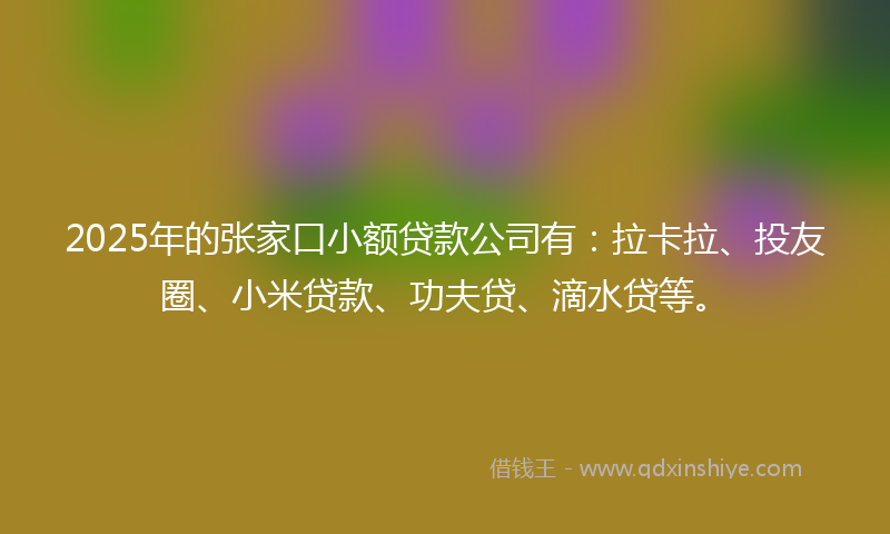2025年的张家口小额贷款公司有：拉卡拉、投友圈、小米贷款、功夫贷、滴水贷等。