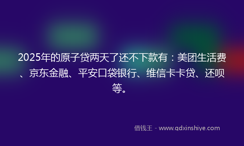 2025年的原子贷两天了还不下款有：美团生活费、京东金融、平安口袋银行、维信卡卡贷、还呗等。