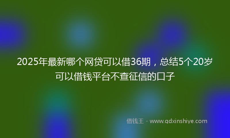 2025年最新哪个网贷可以借36期，总结5个20岁可以借钱平台不查征信的口子