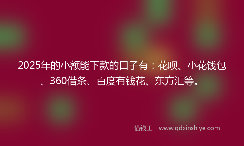 2025年的小额能下款的口子有：花呗、小花钱包、360借条、百度有钱花、东方汇等。