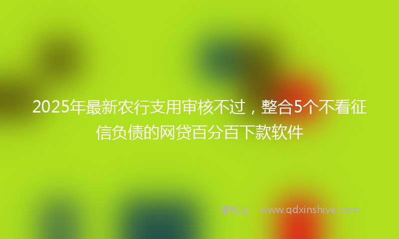2025年最新农行支用审核不过，整合5个不看征信负债的网贷百分百下款软件