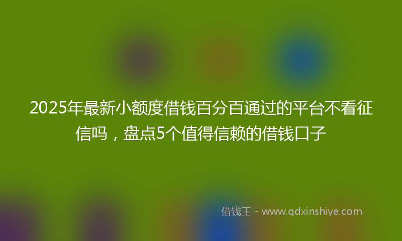 2025年最新小额度借钱百分百通过的平台不看征信吗，盘点5个值得信赖的借钱口子