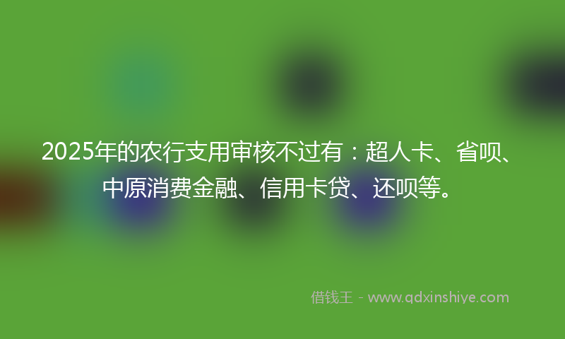 2025年的农行支用审核不过有：超人卡、省呗、中原消费金融、信用卡贷、还呗等。