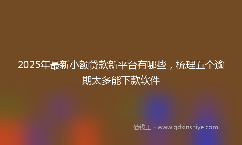 2025年最新小额贷款新平台有哪些，梳理五个逾期太多能下款软件