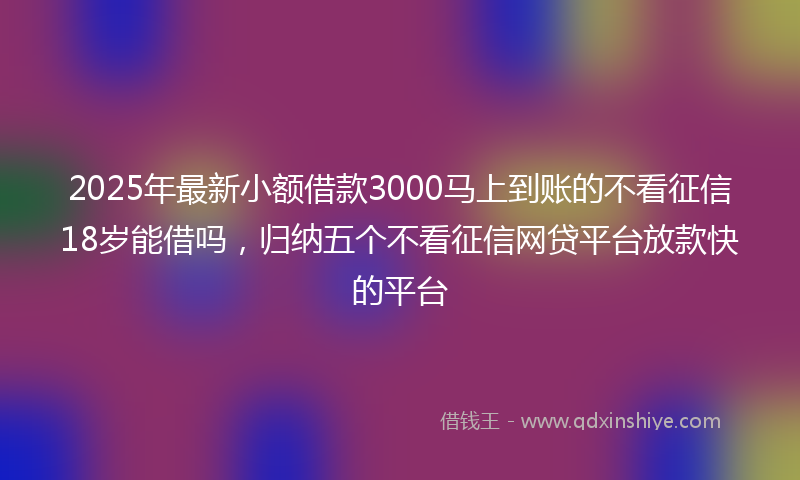 2025年最新小额借款3000马上到账的不看征信18岁能借吗，归纳五个不看征信网贷平台放款快的平台