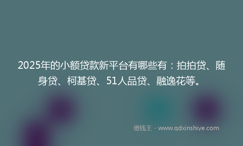 2025年的小额贷款新平台有哪些有：拍拍贷、随身贷、柯基贷、51人品贷、融逸花等。