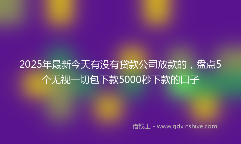2025年最新今天有没有贷款公司放款的，盘点5个无视一切包下款5000秒下款的口子