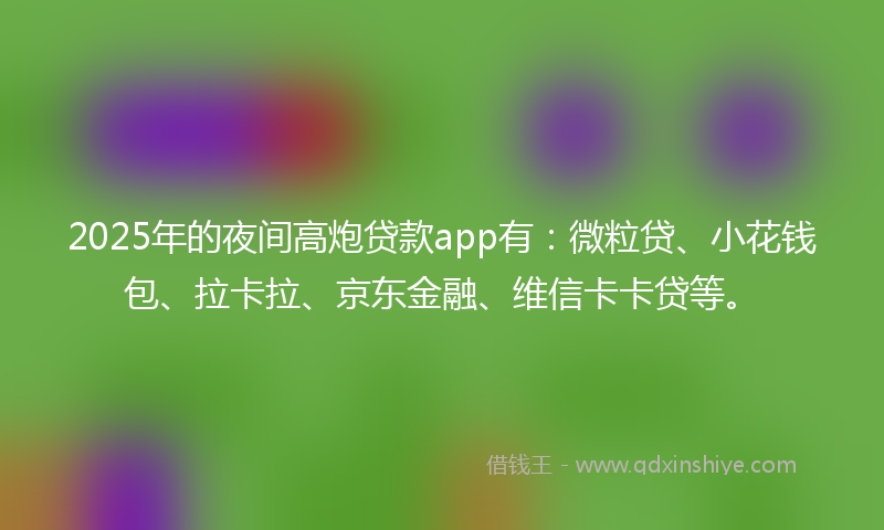 2025年的夜间高炮贷款app有：微粒贷、小花钱包、拉卡拉、京东金融、维信卡卡贷等。