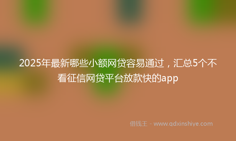 2025年最新哪些小额网贷容易通过，汇总5个不看征信网贷平台放款快的app