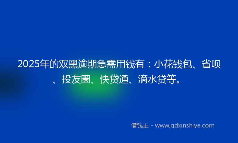 2025年的双黑逾期急需用钱有：小花钱包、省呗、投友圈、快贷通、滴水贷等。