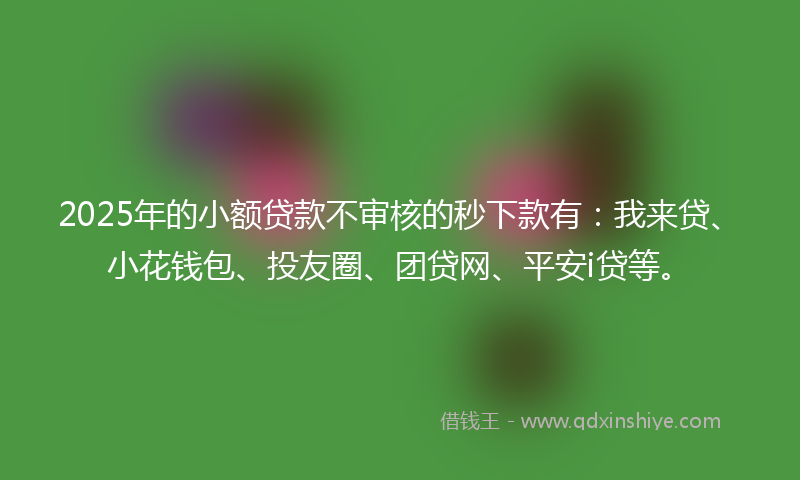 2025年的小额贷款不审核的秒下款有：我来贷、小花钱包、投友圈、团贷网、平安i贷等。