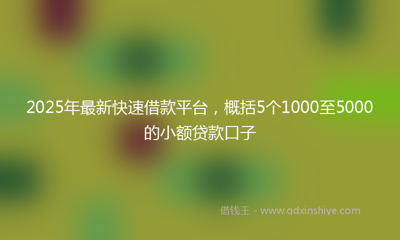2025年最新快速借款平台，概括5个1000至5000的小额贷款口子