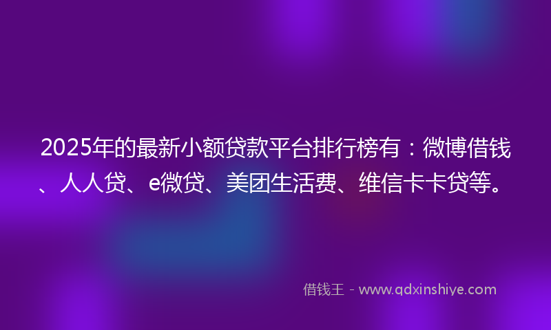 2025年的最新小额贷款平台排行榜有：微博借钱、人人贷、e微贷、美团生活费、维信卡卡贷等。