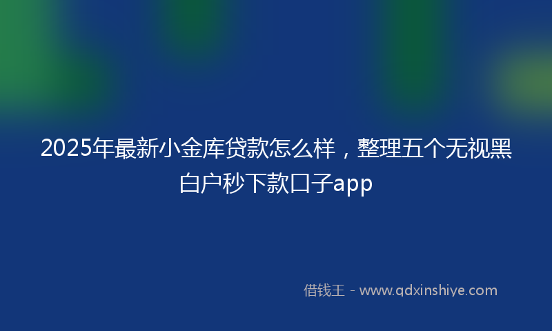 2025年最新小金库贷款怎么样，整理五个无视黑白户秒下款口子app