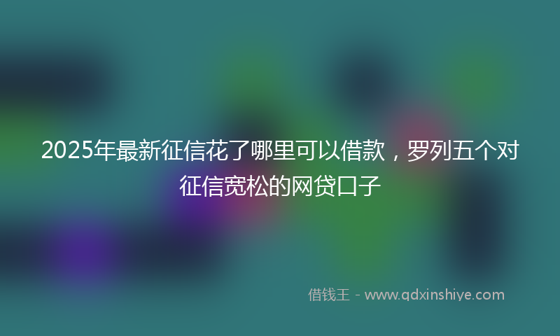 2025年最新征信花了哪里可以借款，罗列五个对征信宽松的网贷口子