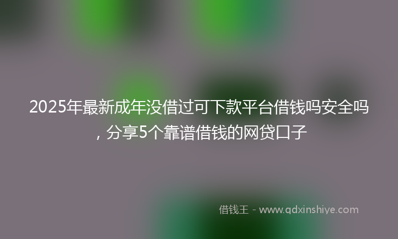 2025年最新成年没借过可下款平台借钱吗安全吗，分享5个靠谱借钱的网贷口子