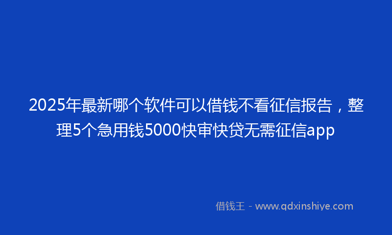 2025年最新哪个软件可以借钱不看征信报告，整理5个急用钱5000快审快贷无需征信app