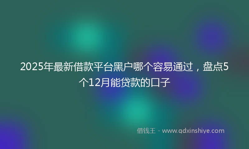 2025年最新借款平台黑户哪个容易通过，盘点5个12月能贷款的口子