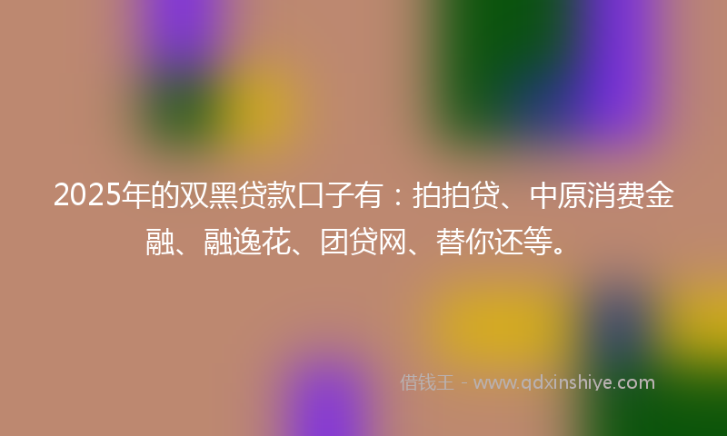 2025年的双黑贷款口子有：拍拍贷、中原消费金融、融逸花、团贷网、替你还等。
