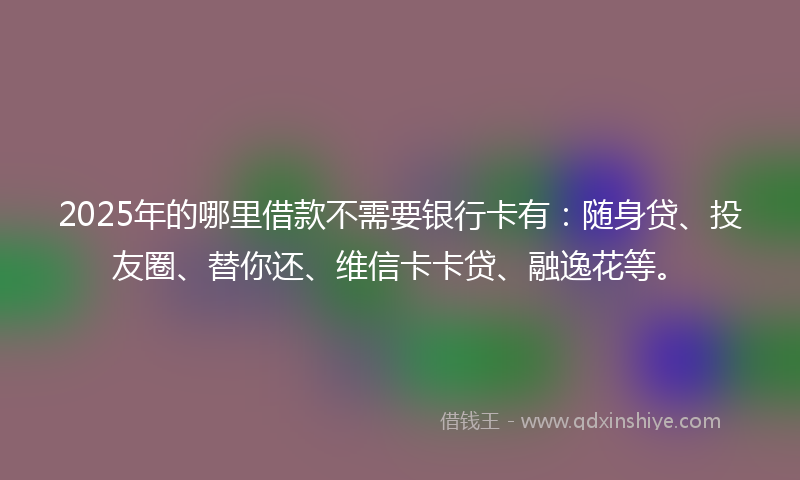 2025年的哪里借款不需要银行卡有：随身贷、投友圈、替你还、维信卡卡贷、融逸花等。