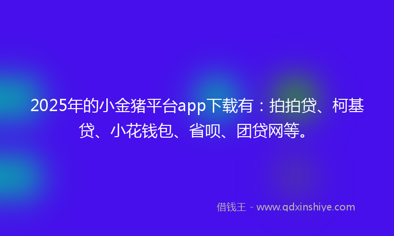 2025年的小金猪平台app下载有：拍拍贷、柯基贷、小花钱包、省呗、团贷网等。